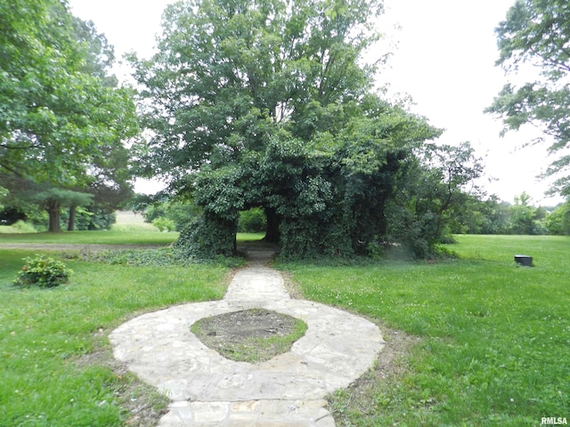 4370 Buncombe Rd, Vienna, IL 62995 - view of green lawn