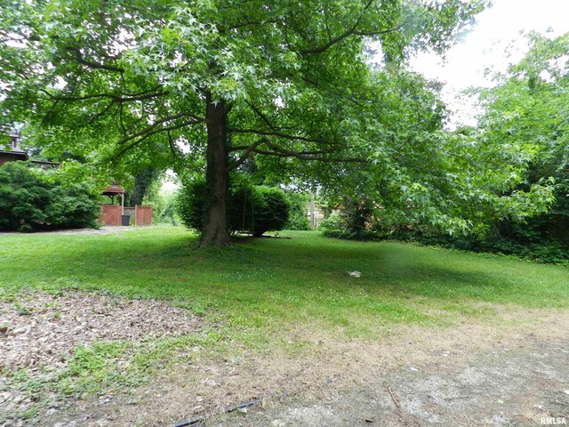4370 Buncombe Rd, Vienna, IL 62995 - view of yard