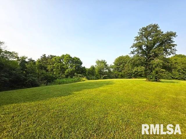 18802 E Fairfield Rd, Mount Vernon, IL 62864 - view of green lawn