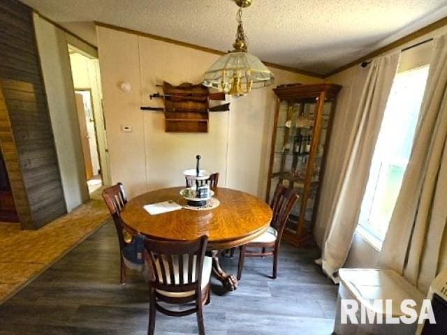 18802 E Fairfield Rd, Mount Vernon, IL 62864 - dining room with plenty of natural light, a chandelier, wood finished floors, and a textured ceiling