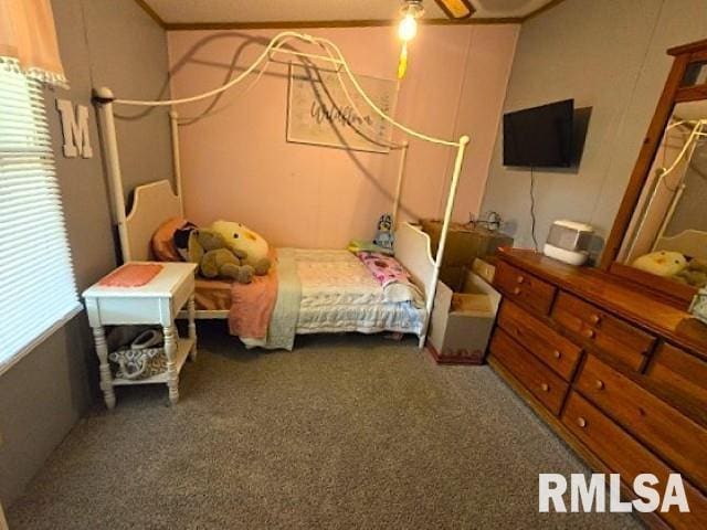 18802 E Fairfield Rd, Mount Vernon, IL 62864 - bedroom featuring carpet flooring and ceiling fan