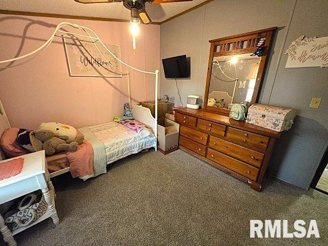 18802 E Fairfield Rd, Mount Vernon, IL 62864 - bedroom featuring carpet flooring and a ceiling fan