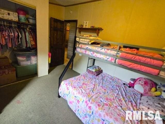 18802 E Fairfield Rd, Mount Vernon, IL 62864 - carpeted bedroom with a closet