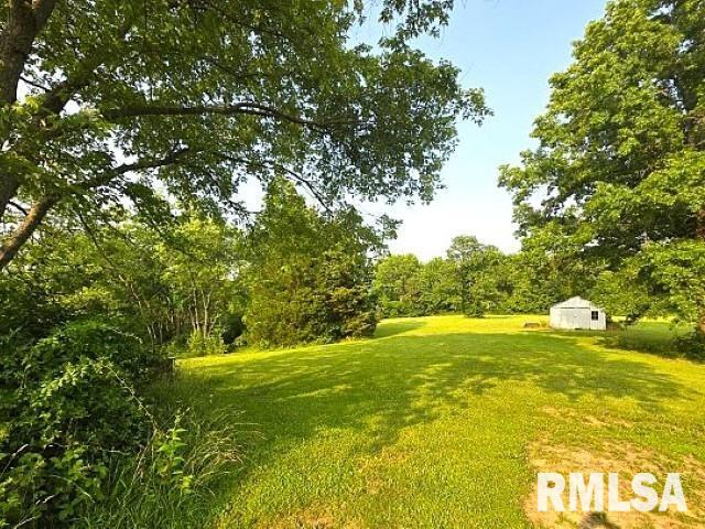 18802 E Fairfield Rd, Mount Vernon, IL 62864 - view of grassy yard featuring an outbuilding