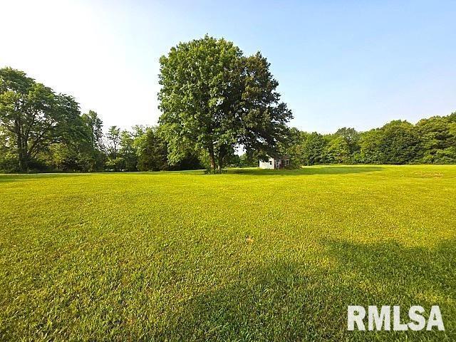 18802 E Fairfield Rd, Mount Vernon, IL 62864 - view of grassy yard