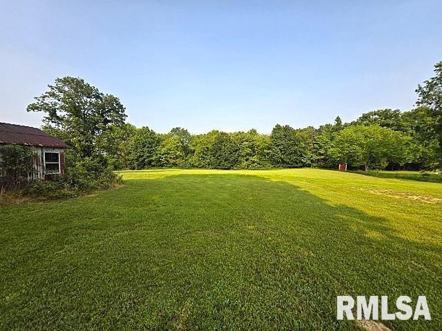18802 E Fairfield Rd, Mount Vernon, IL 62864 - view of green lawn
