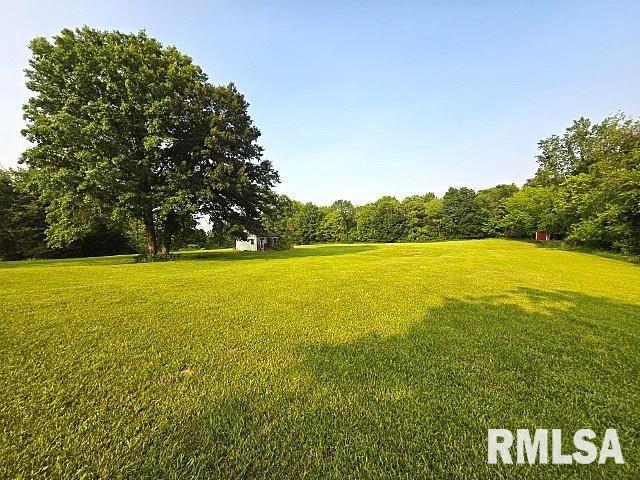 18802 E Fairfield Rd, Mount Vernon, IL 62864 - view of green lawn