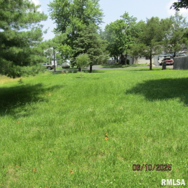 632 N Pershing St, Energy, IL 62933 - view of yard