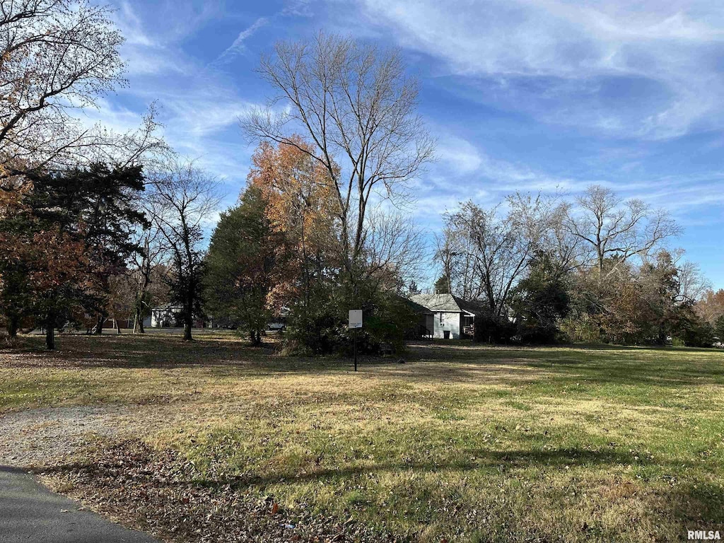 900 W Cherry St, Carbondale, IL 62901 - photo 1