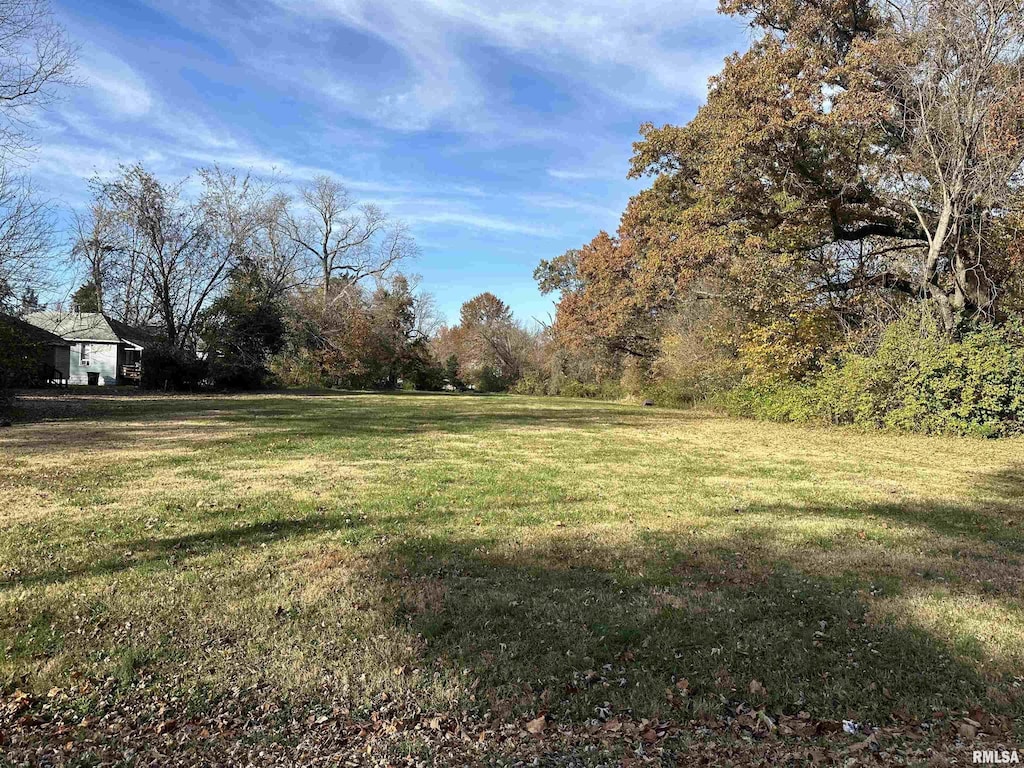 900 W Cherry St, Carbondale, IL 62901 - photo 2