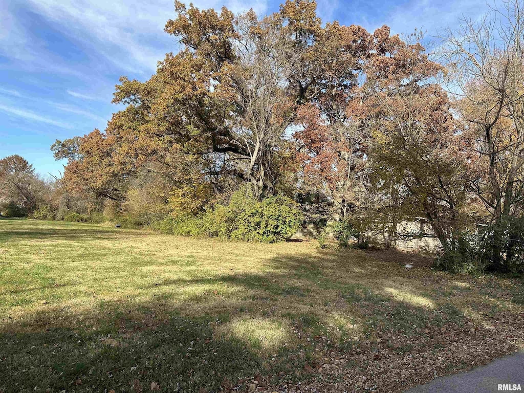 900 W Cherry St, Carbondale, IL 62901 - photo 3