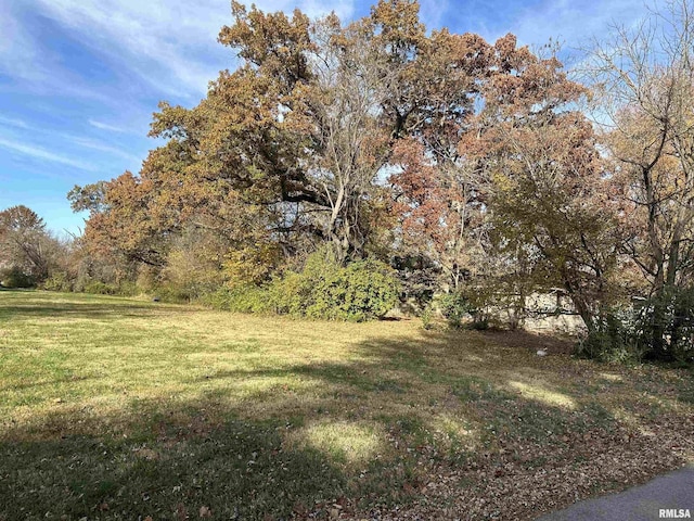 900 W Cherry St, Carbondale, IL 62901 - photo 3