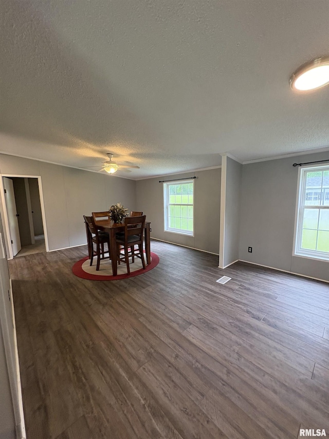 715 Wastena St, Benton, IL 62812 - dining space featuring a textured ceiling, dark wood finished floors, and a ceiling fan