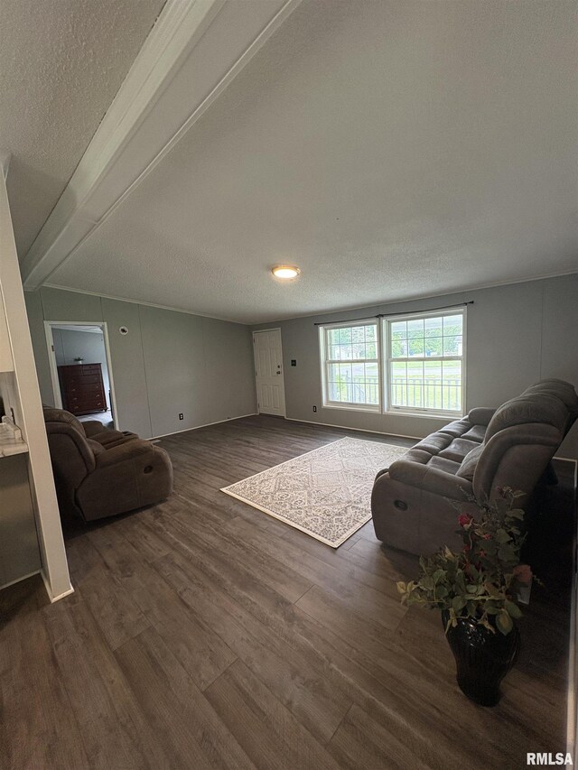715 Wastena St, Benton, IL 62812 - living area with dark wood-style flooring and a textured ceiling