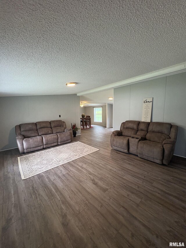 715 Wastena St, Benton, IL 62812 - living area with a textured ceiling and wood finished floors