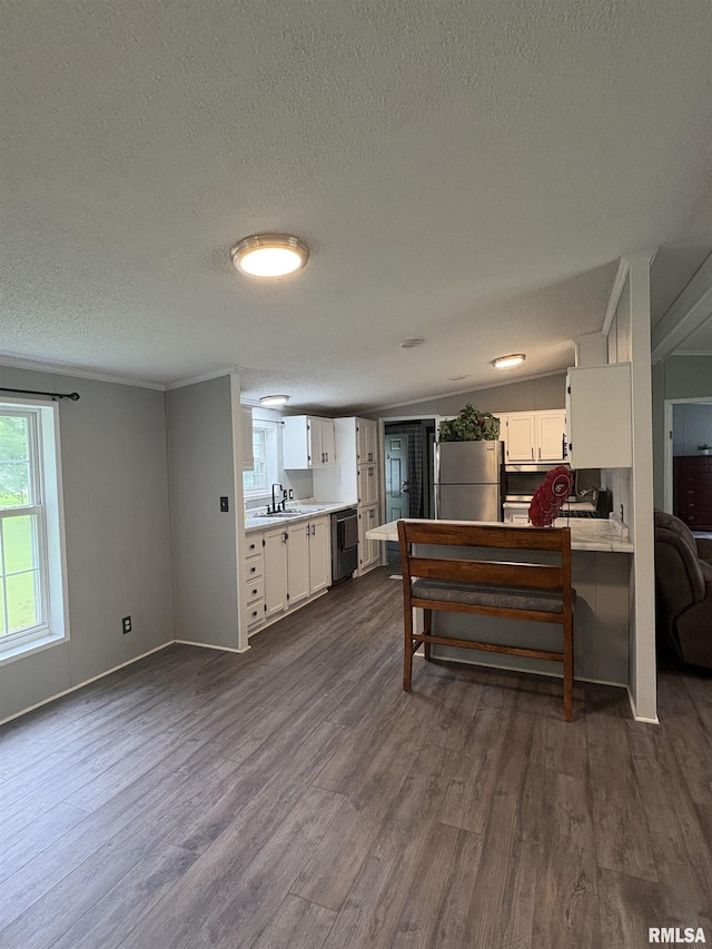 715 Wastena St, Benton, IL 62812 - kitchen featuring freestanding refrigerator, dishwasher, a textured ceiling, dark wood-style flooring, and white cabinets