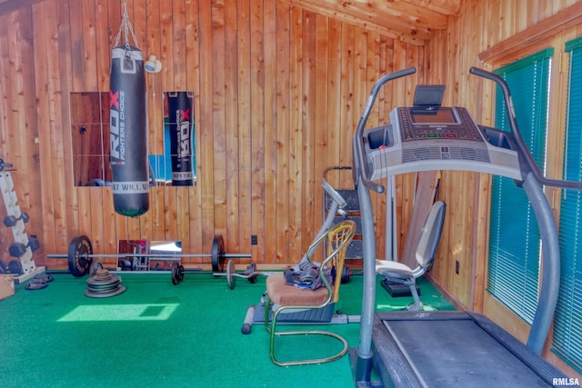 2036 Spruce St, Murphysboro, IL 62966 - workout room with wood walls