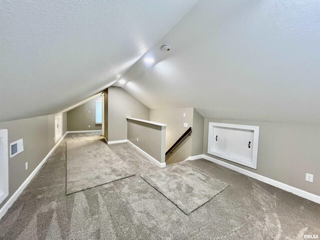 314 W 12th St, Metropolis, IL 62960 - bonus room featuring carpet, lofted ceiling, and a textured ceiling