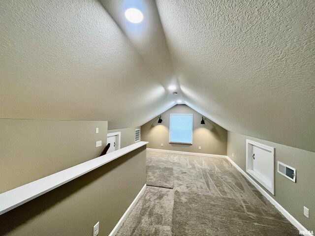 314 W 12th St, Metropolis, IL 62960 - bonus room with a textured ceiling, carpet, and vaulted ceiling