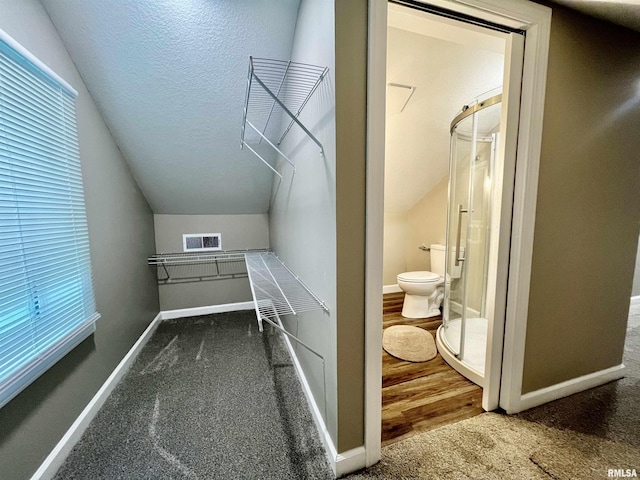 314 W 12th St, Metropolis, IL 62960 - walk in closet featuring carpet floors and lofted ceiling
