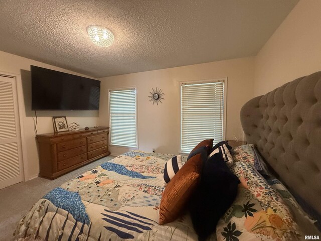 55 View Valley Dr, Carbondale, IL 62903 - photo 21