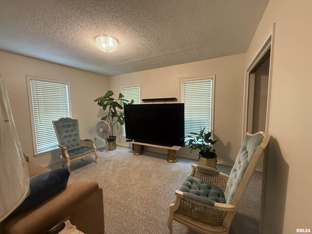 55 View Valley Dr, Carbondale, IL 62903 - photo 24