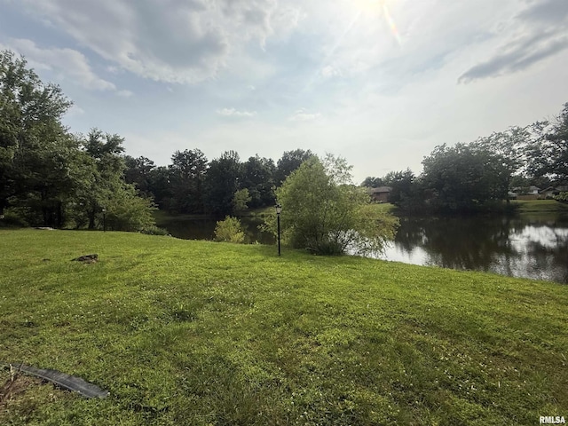 55 View Valley Dr, Carbondale, IL 62903 - photo 53