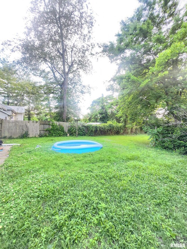 202 N Oakland St, Carbondale, IL 62901 - view of yard