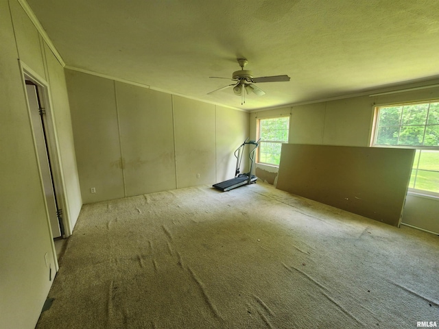 22194 Black St, Akin, IL 62890 - photo 13