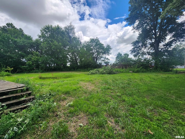 22194 Black St, Akin, IL 62890 - photo 6