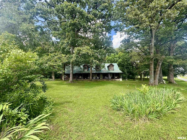 9596 Fox Hunters Rd, Benton, IL 62812 - view of grassy yard