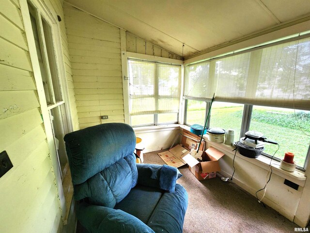 203 E Main St, Karnak, IL 62956 - photo 23