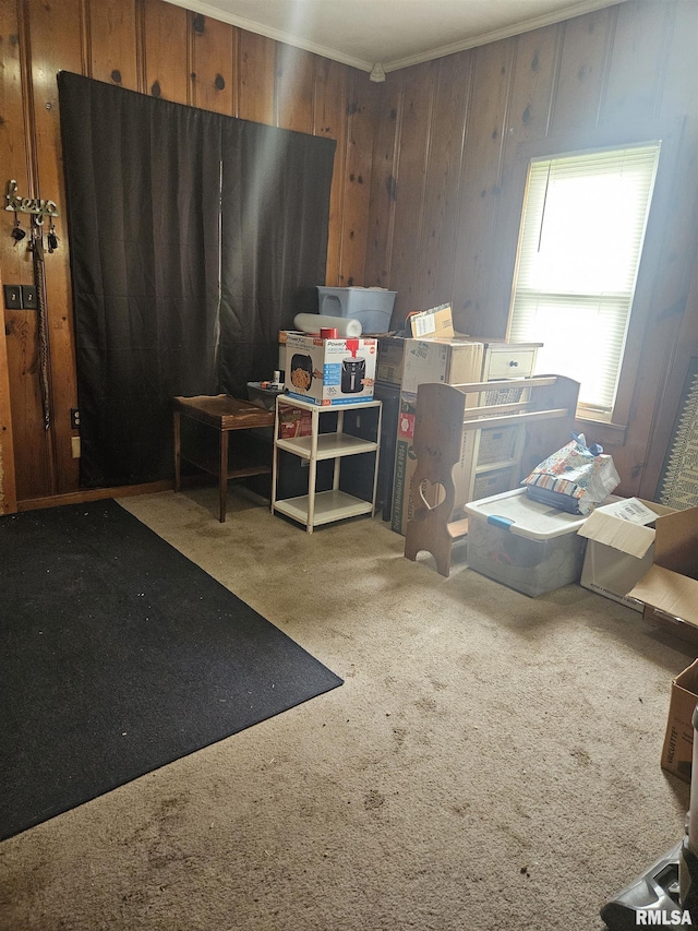 123 W College St, Harrisburg, IL 62946 - miscellaneous room featuring carpet flooring, crown molding, and wood walls