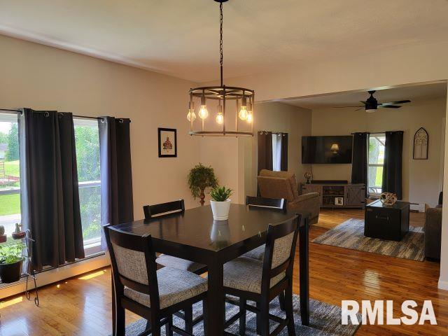 1501 Follis Ave, Johnston City, IL 62951 - photo 18