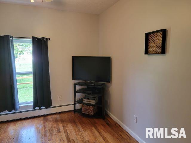 1501 Follis Ave, Johnston City, IL 62951 - photo 19