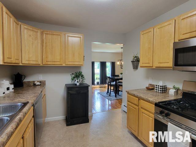1501 Follis Ave, Johnston City, IL 62951 - photo 26