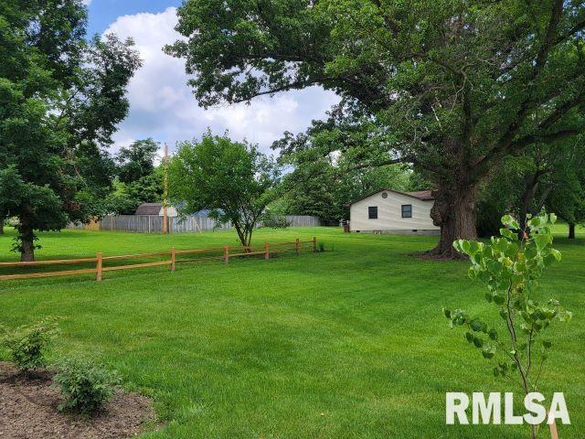 1501 Follis Ave, Johnston City, IL 62951 - photo 33