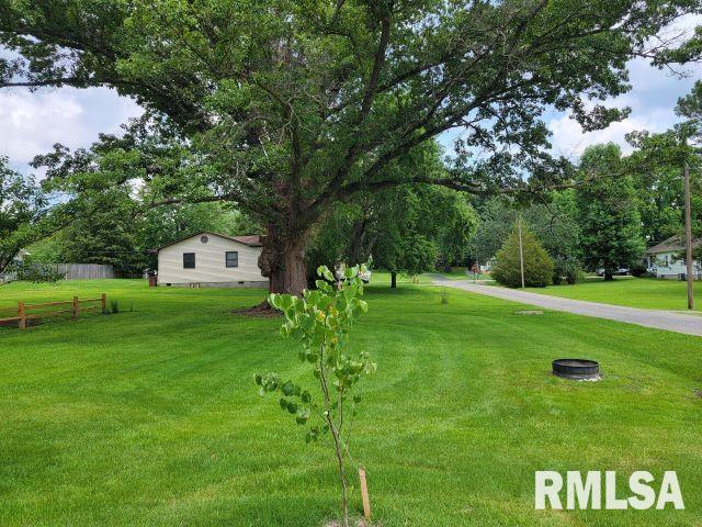 1501 Follis Ave, Johnston City, IL 62951 - photo 34