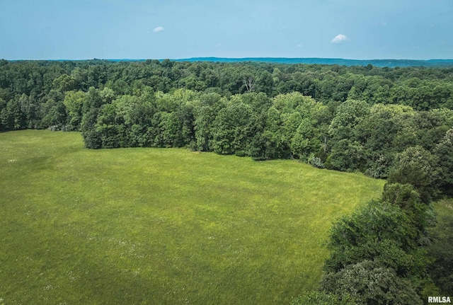 56 Dreamcatcher Ridge Dr, Herod, IL 62947