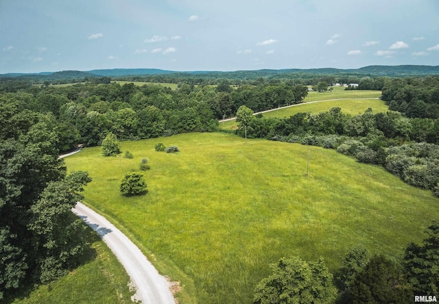 56 Dreamcatcher Ridge Dr, Herod, IL 62947
