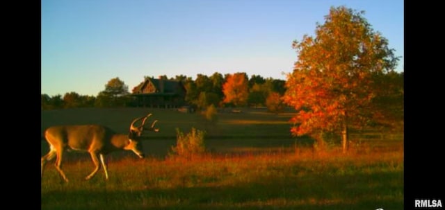 56 Dreamcatcher Ridge Dr, Herod, IL 62947