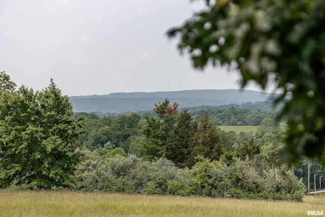56 Dreamcatcher Ridge Dr, Herod, IL 62947