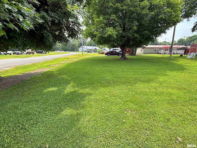 104 E 5th St, Brookport, IL 62910 - view of grassy yard