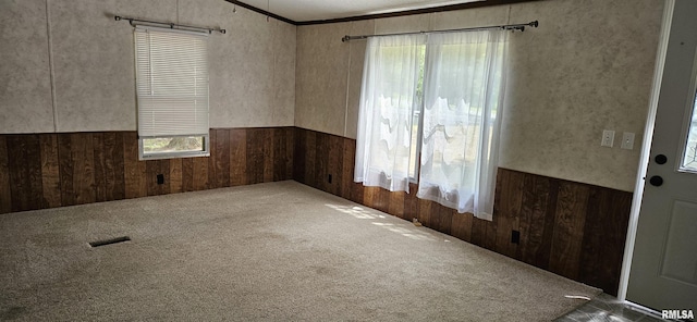 45 Donetta Ln, Creal Springs, IL 62922 - carpeted spare room with wood walls and a wainscoted wall