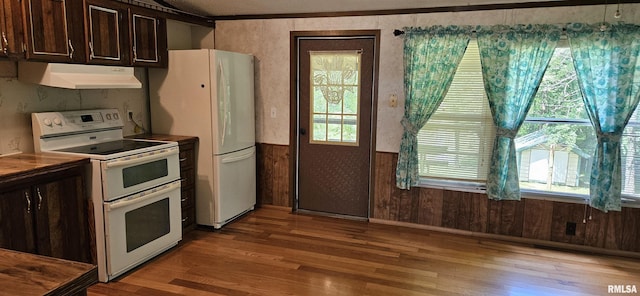 45 Donetta Ln, Creal Springs, IL 62922 - kitchen featuring white appliances, under cabinet range hood, light wood finished floors, dark brown cabinets, and wainscoting