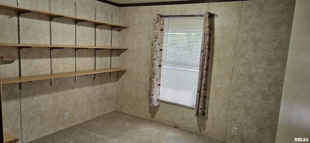 45 Donetta Ln, Creal Springs, IL 62922 - view of storage area