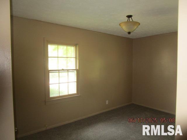 800 N Buchanan St, Benton, IL 62812 - carpeted empty room with baseboards