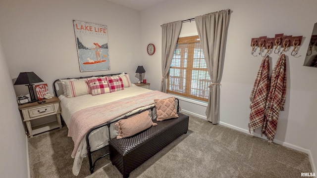 2940 Parrish Rdg, Goreville, IL 62939 - bedroom with carpet flooring and baseboards