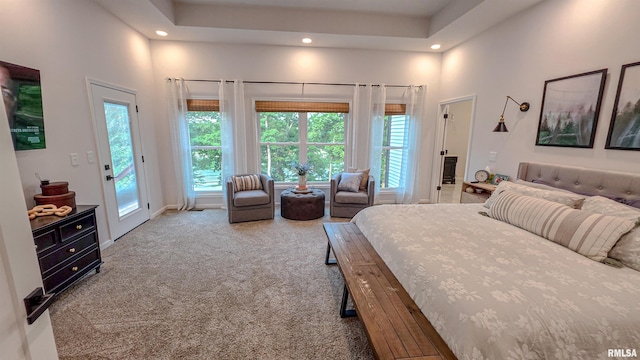 2940 Parrish Rdg, Goreville, IL 62939 - bedroom featuring access to exterior, recessed lighting, carpet floors, and a high ceiling