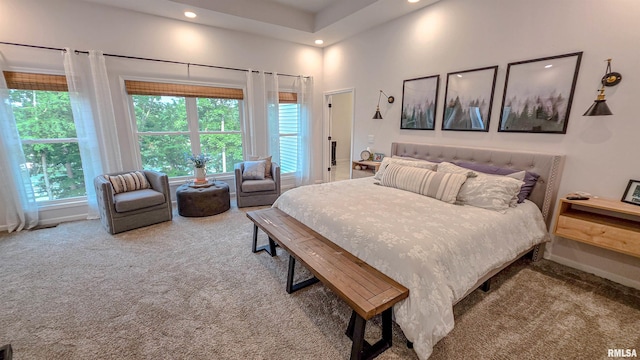 2940 Parrish Rdg, Goreville, IL 62939 - carpeted bedroom with multiple windows and recessed lighting